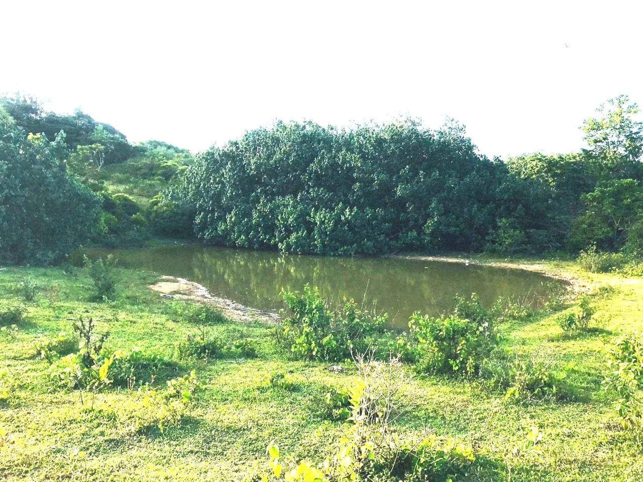 Development land, Las Guázaras — photo 1